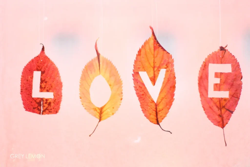Photo Love Leaves