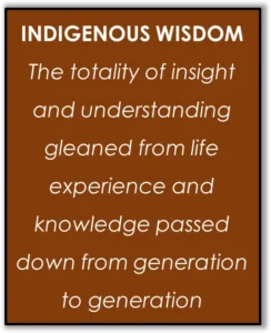 Quote Indigenous Wisdom