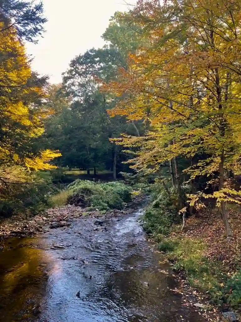 Photo Trail Stream